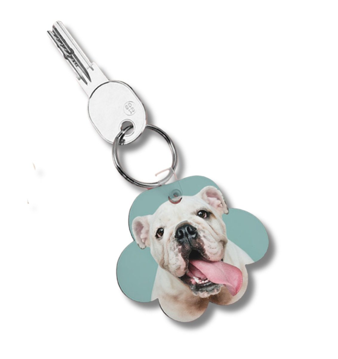 Llavero personalizado mascota